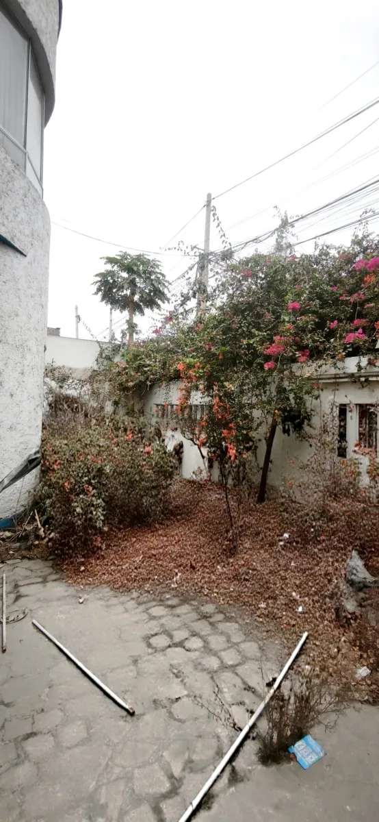 Casa en alquiler para uso comercial, consultorios, negocios, notarías, restaurantes y afines, excelente ubicación. - foto 6